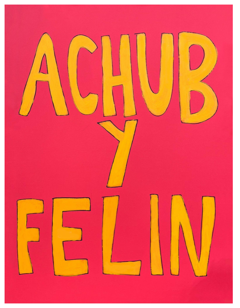 Achub Y Felin